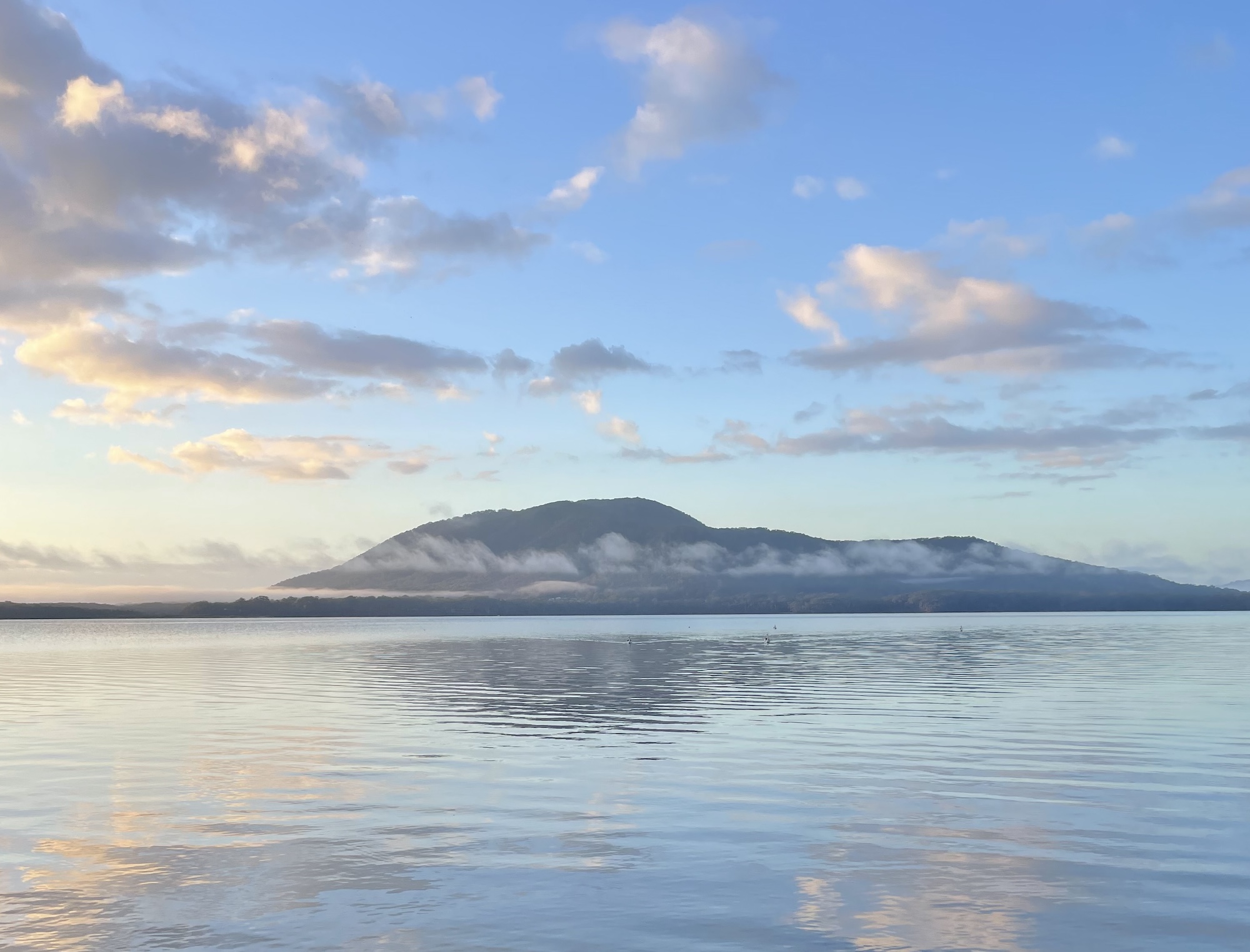 Emotionally Focused Individual Therapy in Wodonga (EFIT)